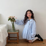 [PRE-ORDER] Preppy Pumpkin Dress